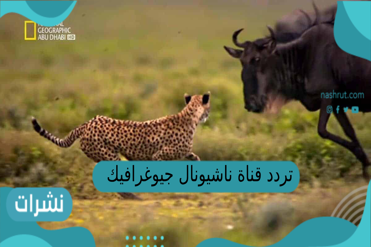 تردد قناه ناشيونال جيوغرافيك ابوظبي الجديد