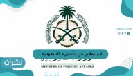 الاستعلام عن تأشيرة السعودية برقم الجواز