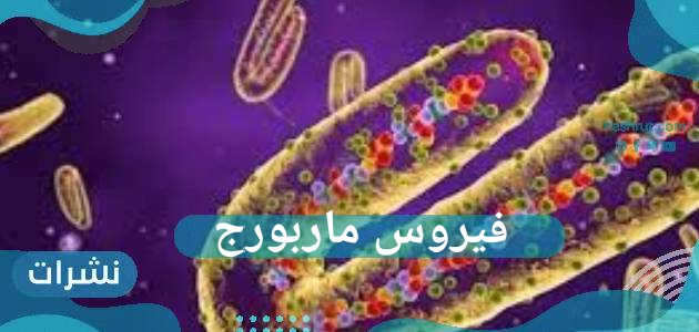 فيروس ماربورغ.. ما هي أعراض الفيروس.. وكيفيه إنتقال العدوى