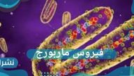 فيروس ماربورغ.. ما هي أعراض الفيروس.. وكيفيه إنتقال العدوى
