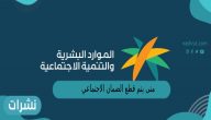 متى يتم قطع الضمان الاجتماعي المطور للعاطلين
