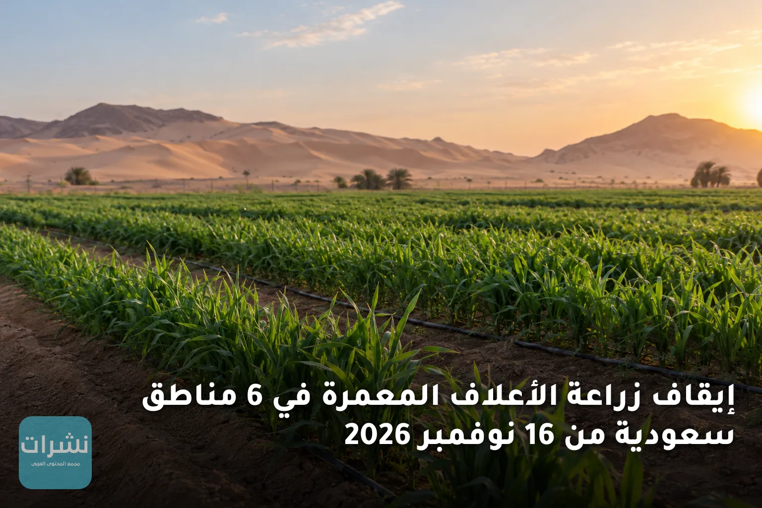 إيقاف زراعة الأعلاف المعمرة في 6 مناطق سعودية من 16 نوفمبر 2026
