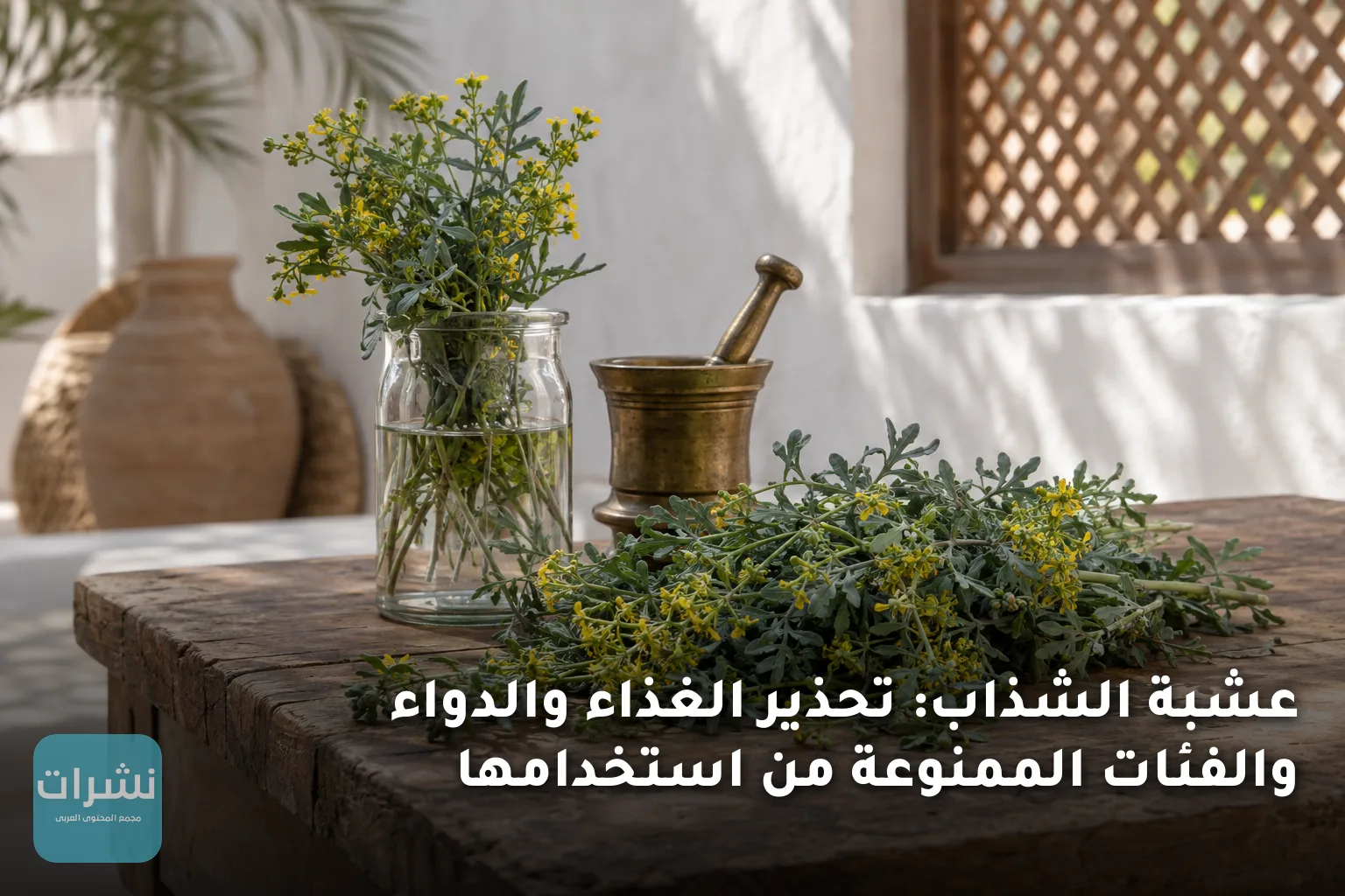عشبة الشذاب: تحذير الغذاء والدواء والفئات الممنوعة من استخدامها